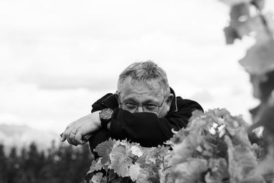Guide to the Terroirs of Sancerre: the Clos Henri version