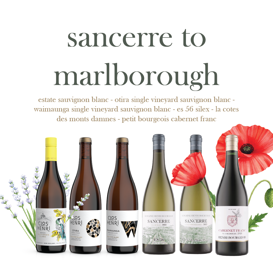 The Sancerre to Marlborough Mixed Case