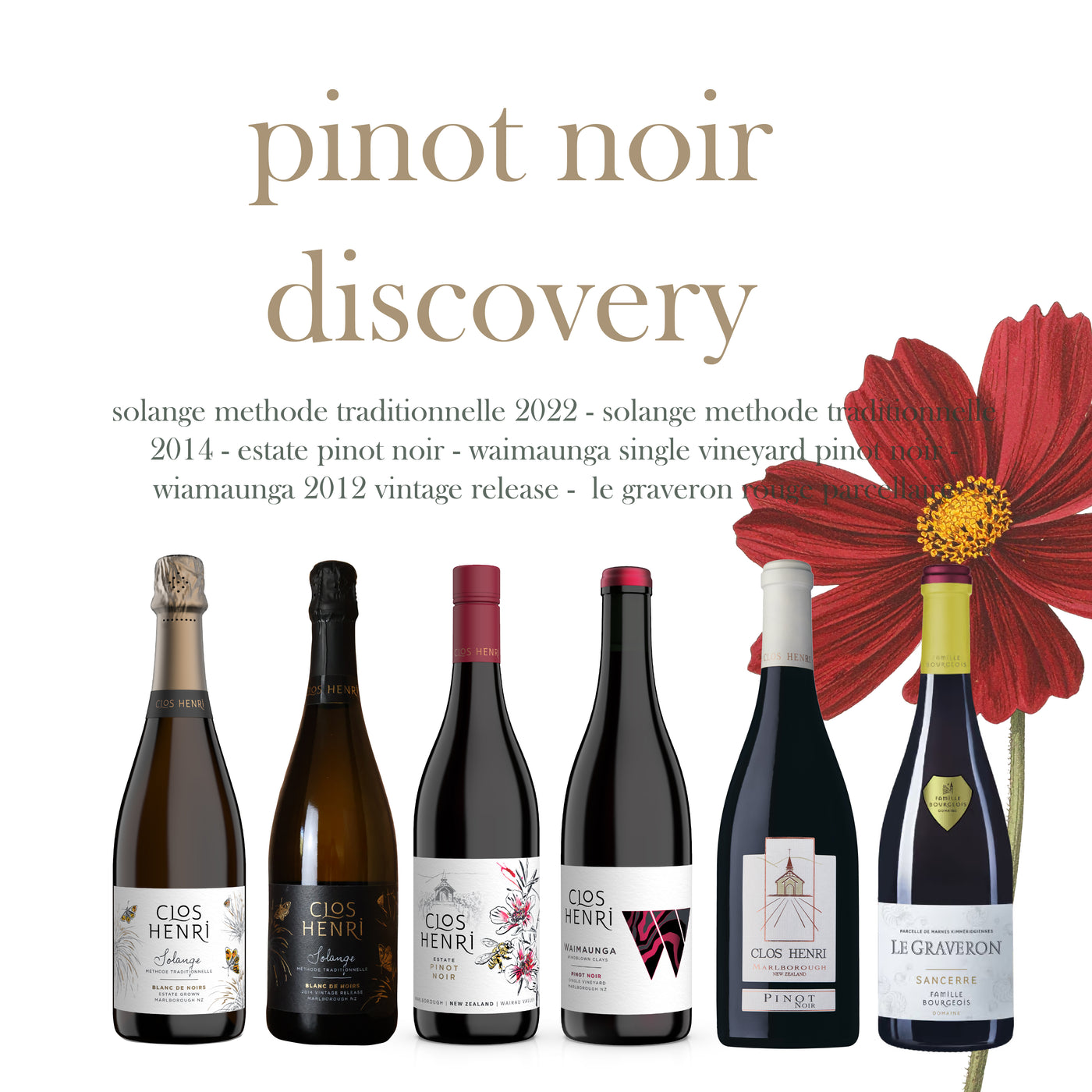 Pinot Noir Discovery